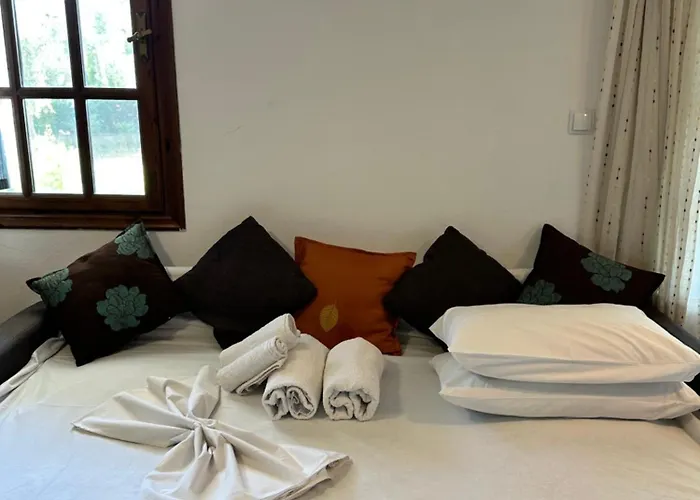 Elgi Casa de Férias *