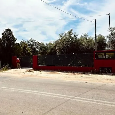 Elgi כריסי אמודיה