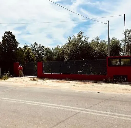 Elgi 克里斯阿穆迪亚