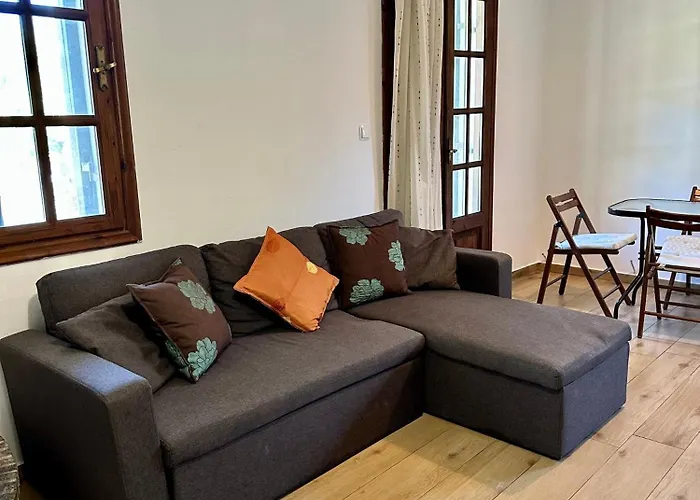 Elgi * 克里斯阿穆迪亚